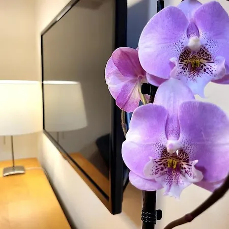 Flamenco, Apartamento Exclusivo De Dos En El Pleno Del Casco Antiguo, Alicante, Playa, Centro Historico, Rambla Alicante